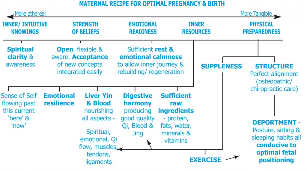 maternal recipe for optimal pregnancy & birth